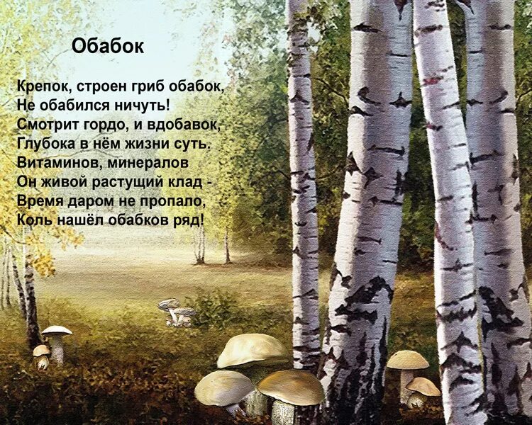Под березой под осиной. Береза и подберезовик. подберезовик под березой. грибы под березой. гриб подберезовик и береза.