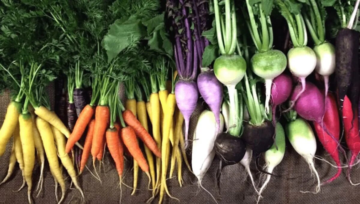Best vegetables for the. Winter vegetables. brussels sprouts carrots. swede vegetable.