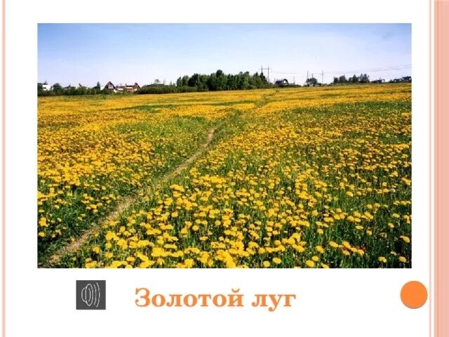 м. произведение золотой луг пришвин. м пришвин золотой луг 2 класс. золотой луг пришвин. "золотой луг".