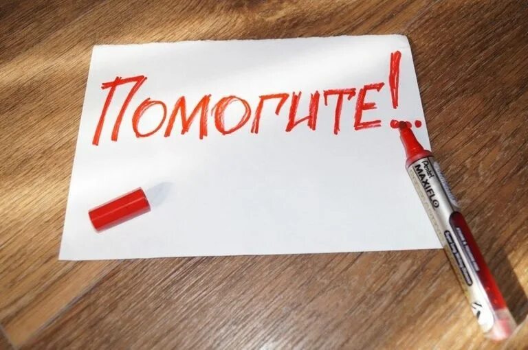 Помоги быстрее пожалуйста. Помогите. прошу помощи. помогите картинка. просьба о помощи картинки.