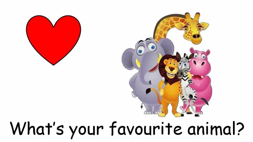 What is your favourite animal. What is your favorite animal. What is your favourite. What's your favourite animal ответ.