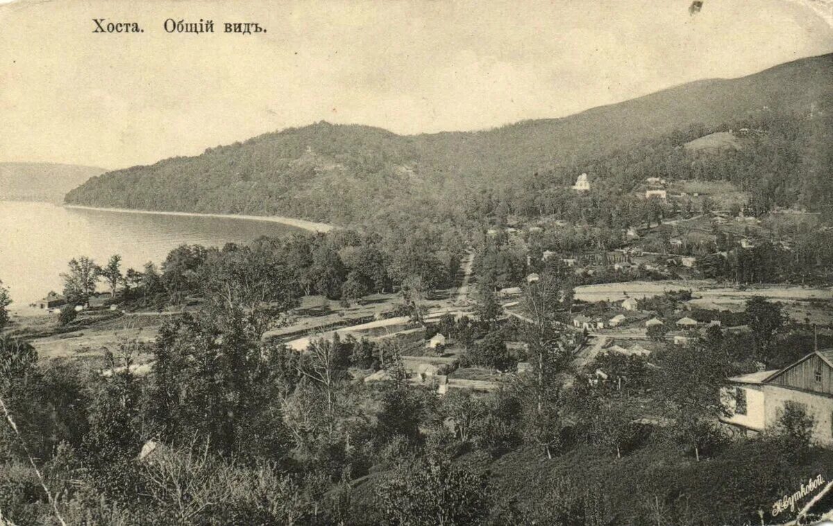 Сочи 1939. Хоста 19 века. Старые фото хосты. Хоста 1960 -х. Старые фото хосты.