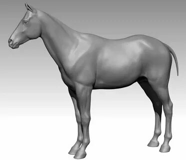 3 hors