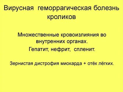 Вирусная геморрагическая
