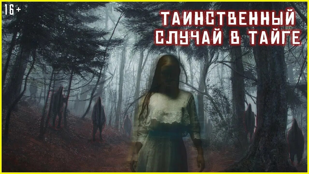 Страшные таежные рассказы. Страшные таежные истории. таежная мистика. мистические случаи в тайге. таежные истории мистические.
