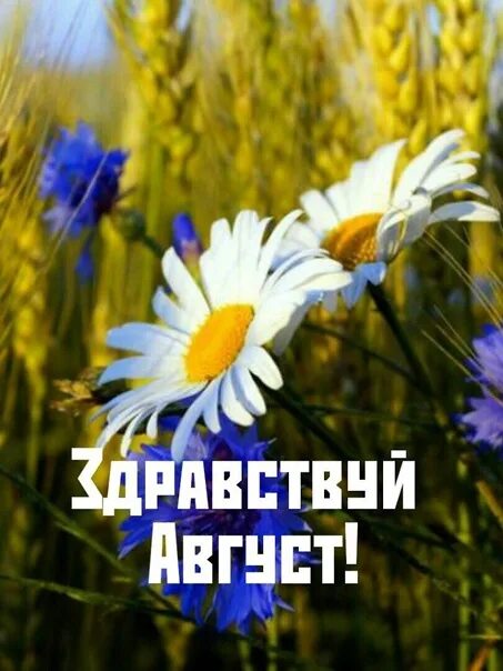 Благодатное лето заменить синонимом