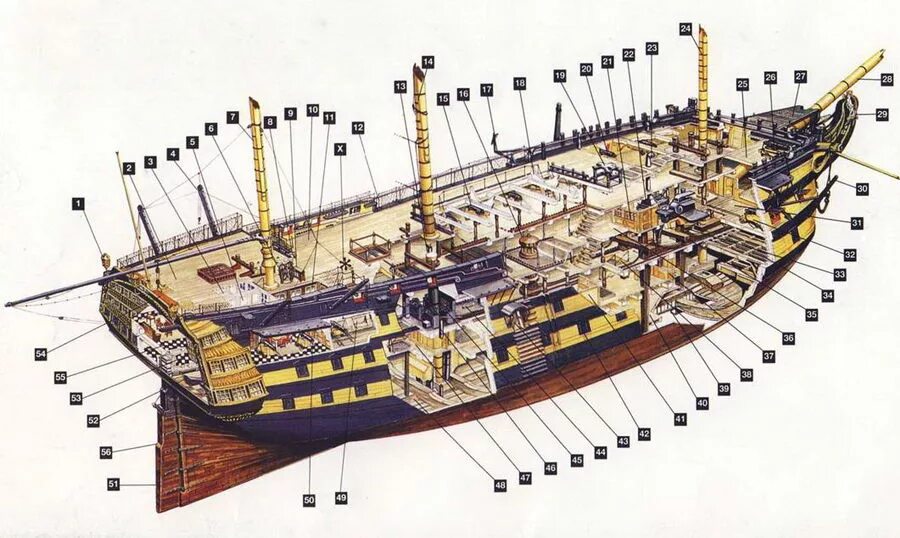 Часть палубы судна. Устройство парусного корабля 17 века. HMS Victory 1805. Строение парусного линейного корабля. HMS Victory чертежи.