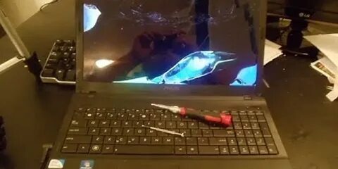 Ноутбук asus горит экран