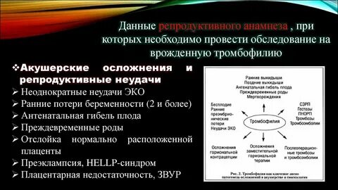 Тромбофилия при беременности