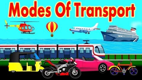 Transport education