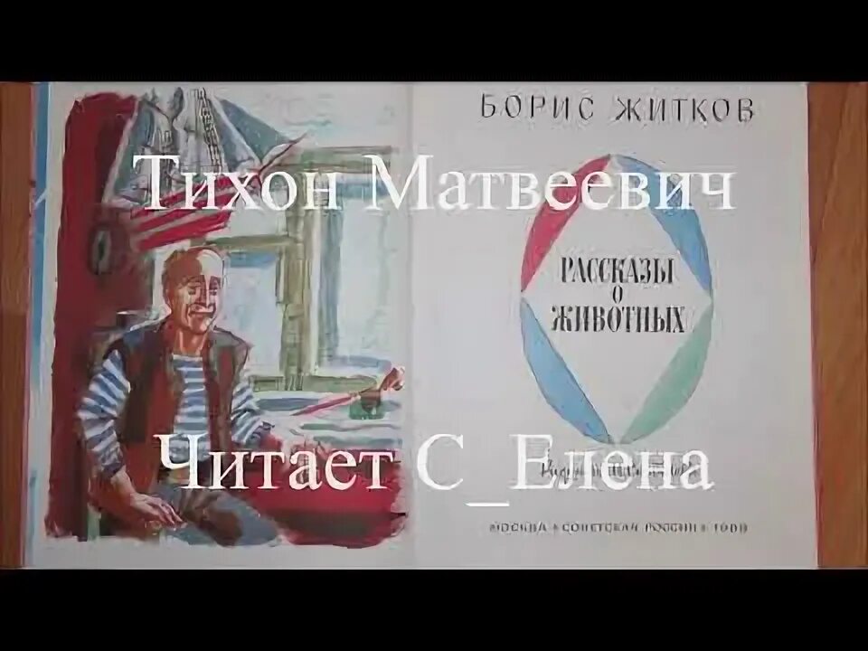 Б житков пудя. Беспризорная кошка житков иллюстрация. С. Рассказы о животных бориса житкова полностью. Житков рассказы о животных.