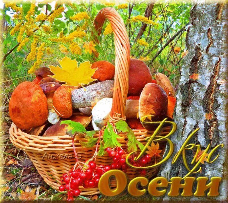 Хороша грибами время года. Открытки осень. Дакиры осени открыт. Открытки осень Золотая. Красивые осенние открытки.
