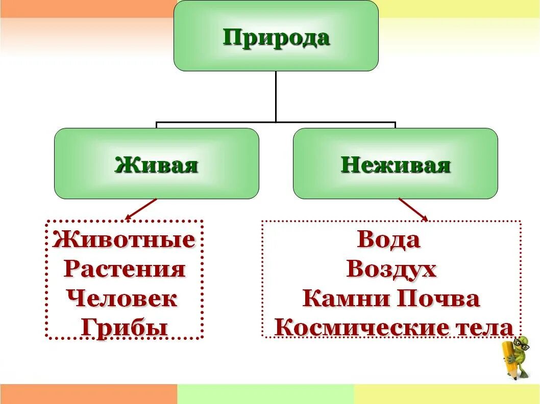 Строение живого и неживого. Таблица Живая и неживая природа. Признаки неживой природы. Признаки живой природы. Живая природа презентация.