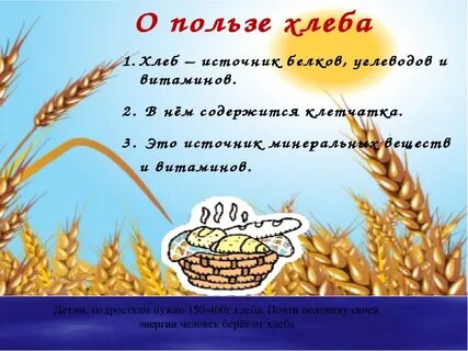 За обедом хлеб всему голова