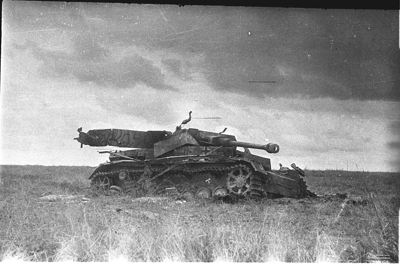 Подбитый вражеский танк. Курская битва 1943. курская битва подбитые танки. курская битва подбитые немецкие танки. курская дуга после битвы.