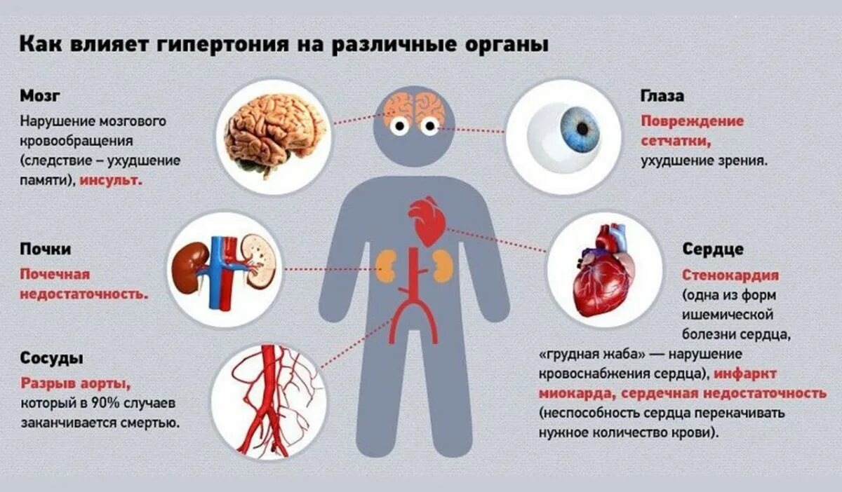 Симптомы поражения органов. Поражение органов мишеней при артериальной гипертензии. Гипертоническая болезнь органы мишени. Как влияет гипертония на различные органы. Органы-мишени при гипертоническом кризе.