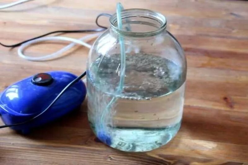 В теплой воде кислород