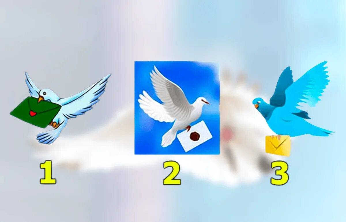 Почтовый голубь для детей. Да или нет письмо голубка. Голубиная почта. Птица с письмом. Голубь рассказ для детей.