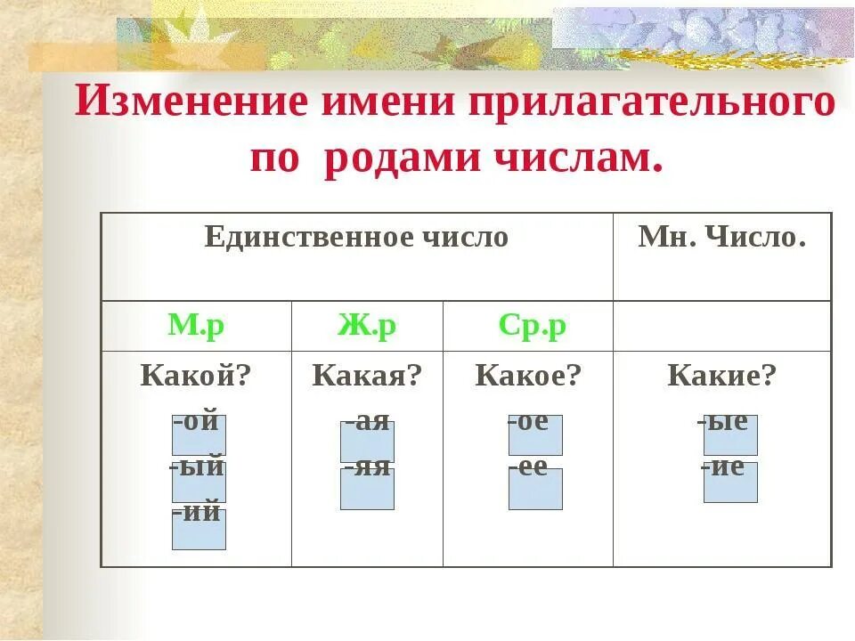 Первый род прилагательного. Изменение имен прилагательных по родам во множественном числе. Прилагательные множественного числа изменяются по родам. Прилагательные единственного и множественного числа. Окончание имени прилагательного во множественном числе.