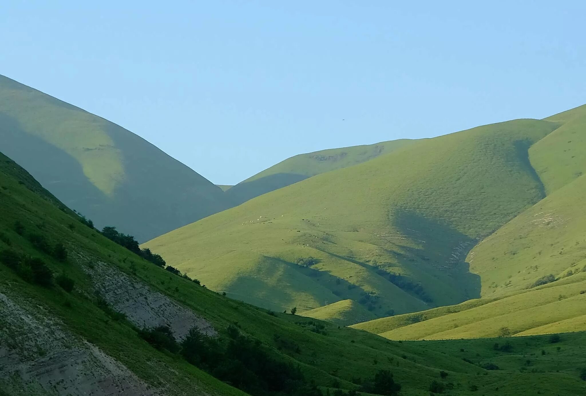 Архивы Чанкурбе - WelcomeDagestan.ru
