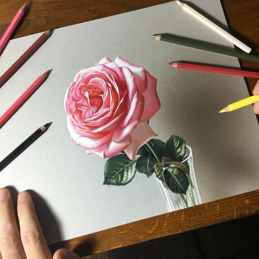 Сделать рисунок в цвете. Объемные рисунки. Рисование цветов цветными карандашами. Цветы цветными карандашами. Красивые цветы для рисования.