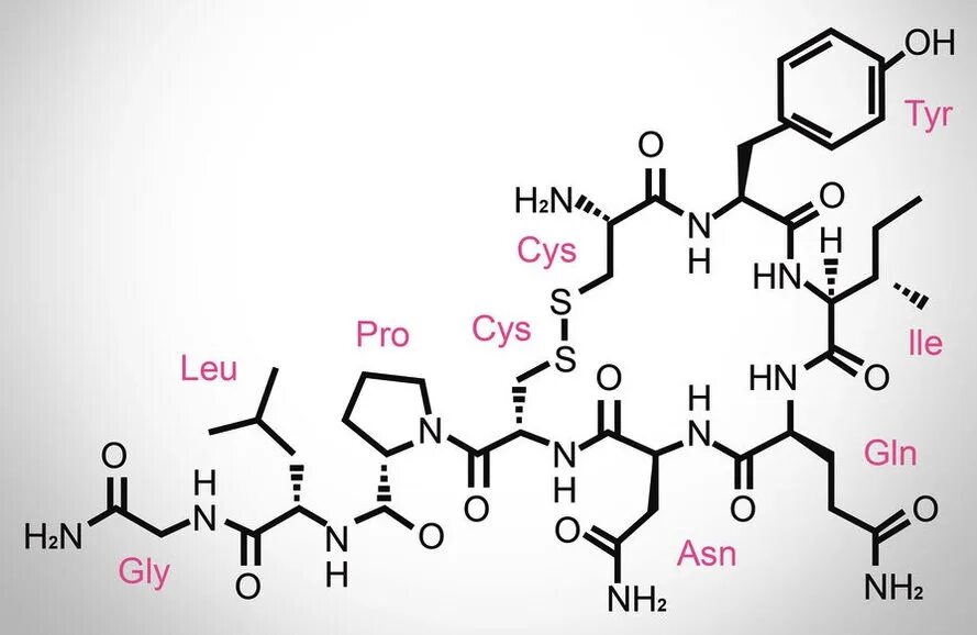 Окситоцин адреналин. Окситоцин адреналин дофамин. Окситоцин гормон формула. Железа гипофиз гормоны. Химические формулы.