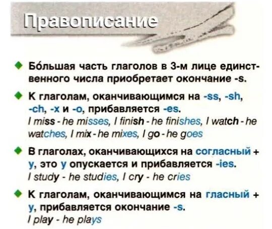 S после слова. S es у глаголов в английском языке окончание глаголы. Окончания глаголов в английском. Написание окончания с в английском языке. Окончания s es IES В английском языке.