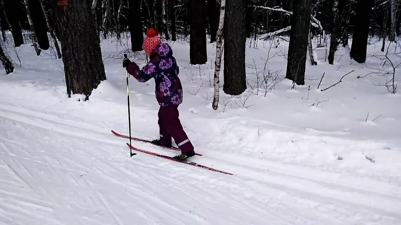 Красные горные лыжи. Видео катаюсь лыжах. Видео катаюсь лыжах. Лыжные гонки спуск. Покататься на лыжах в выборгском районе санкт петербурга.