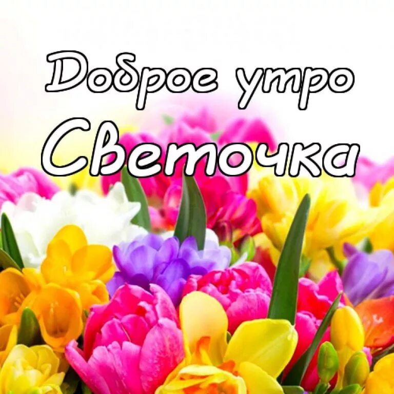 Светы доброе утро. Доброе утро светочка. доброе утро света. с добрым утром светочка.