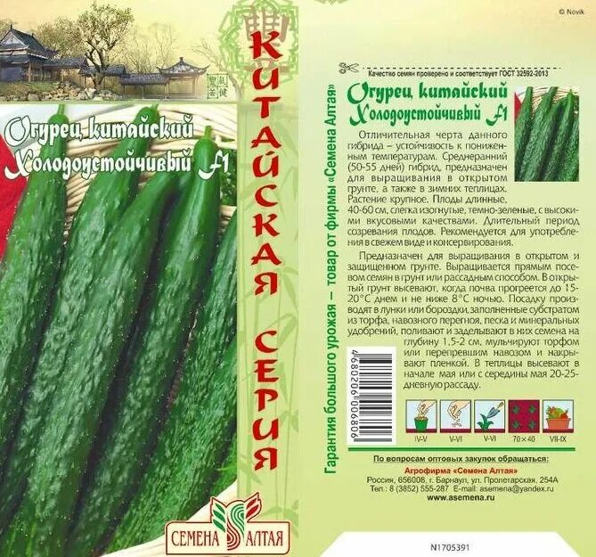 Китайские огурцы (13 фото): семена длинных сортов огурцов для открытого грунта, 