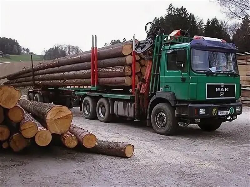 Работа водитель лесовоза с манипулятором. Рено лесовоз. водитель лесовоза с манипулятором. лесовоз с лесом. лесовоз европа.