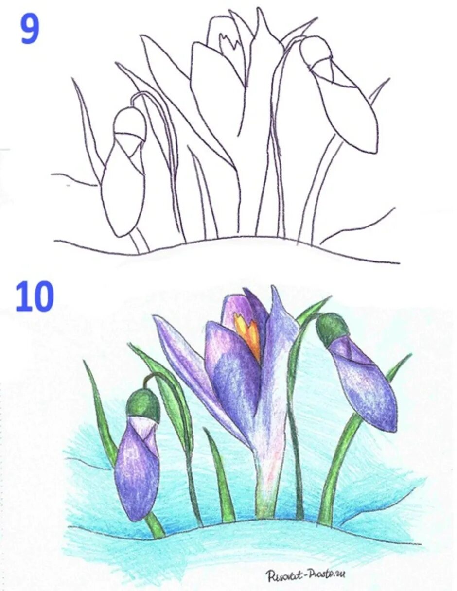 Рисование весенних цветов. Подснежники рисунок. Рисование первые цветы. Рисование на тему весенние цветы. Рисование подснежника поэтапно 1 класс