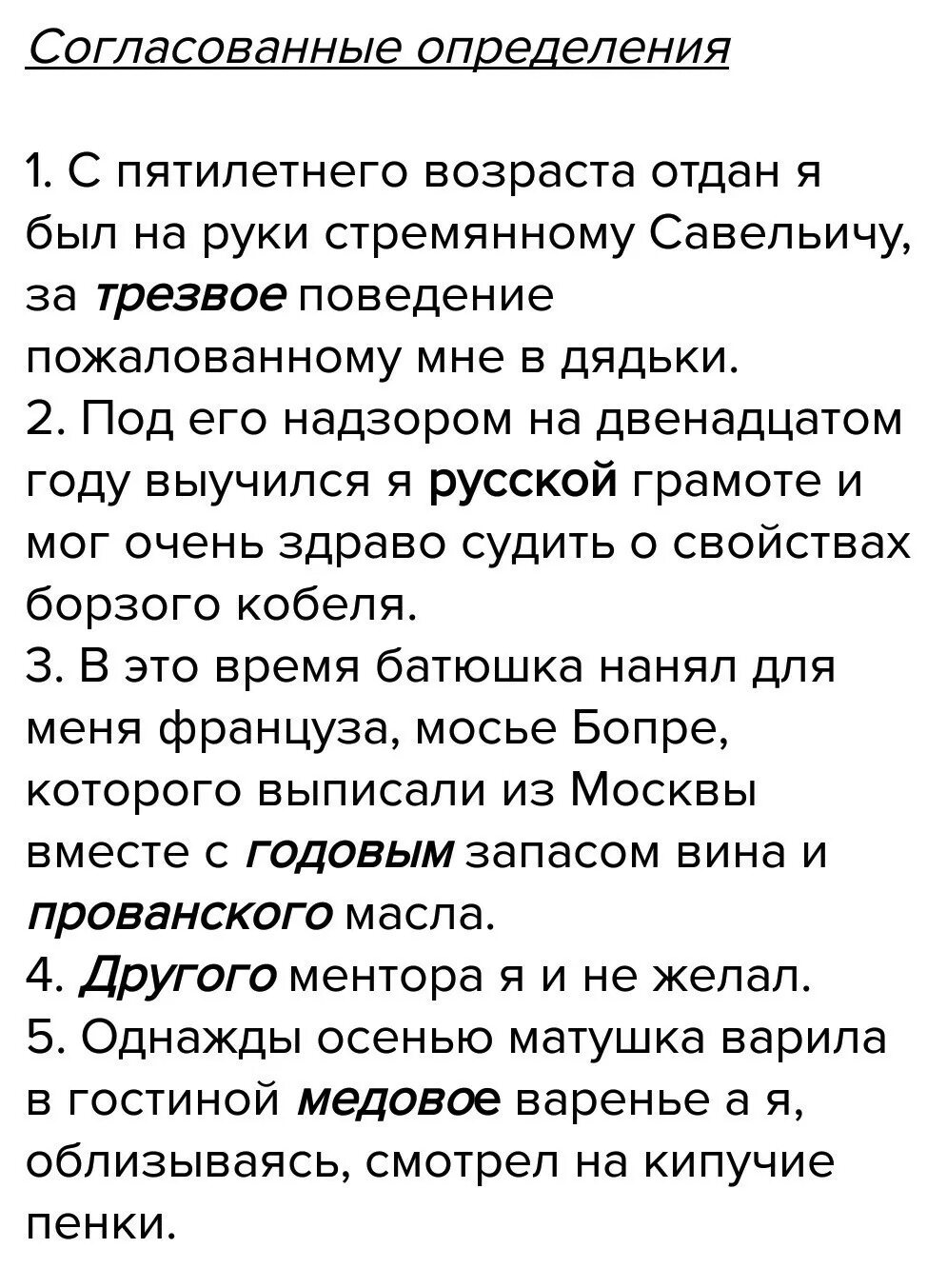 Предложения из капитанской Дочки. Предложения с согласованными и несогласованными. Пять предложений из капитанской Дочки. Капитанская дочка предложения. Обособленные предложения из капитанской дочки