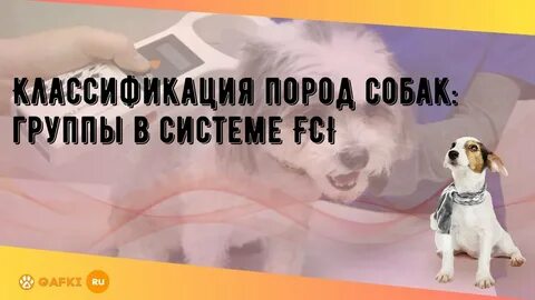 Породы 1 группы