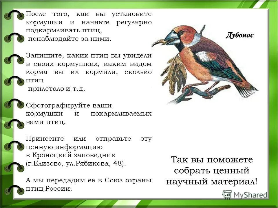 Кормушка какой корень. Кормушка какой корень. Дождь однокоренные слова. Подчеркнуть безударные гласные в корне. Соль безударная гласная.