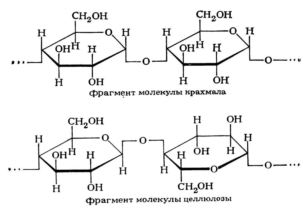 Укажите 3 фрагмента. Структурные формулы фрагмента молекулы крахмала. формула структурного звена крахмала. формула структурного звена целлюлозы. фрагмент строения крахмала.
