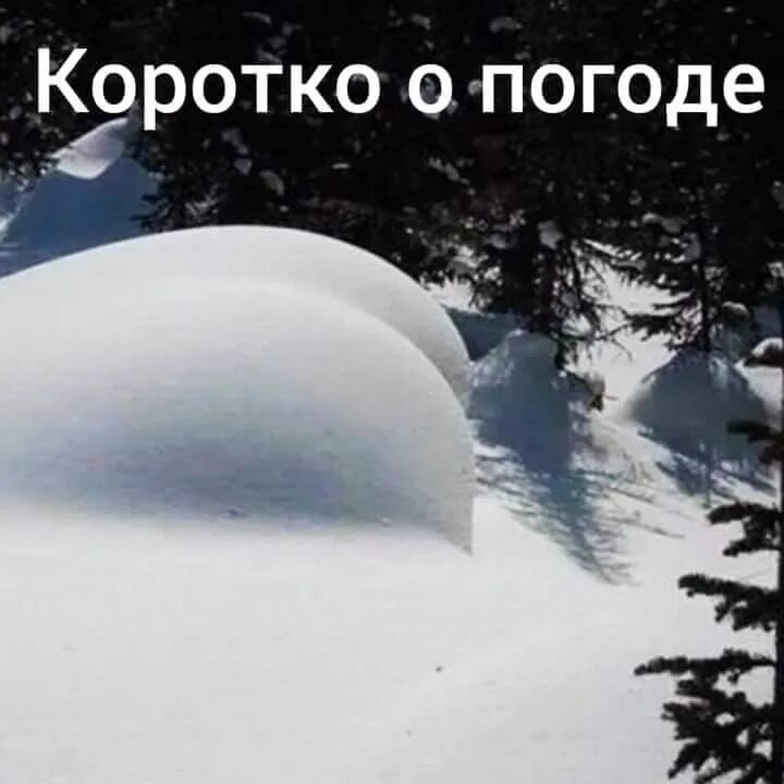 Хочу есть снег