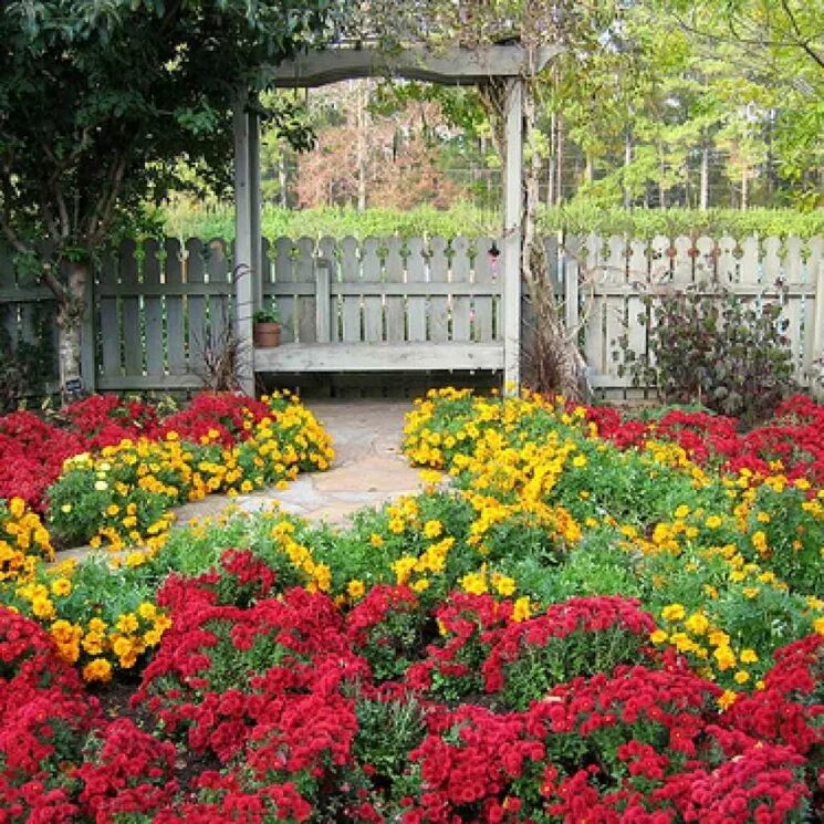 Фото клумбы с цветами возле дома. Клумба Бабушкин палисадник. Палисадник Энфилд. Цветник в палисаднике. Клумбы во дворе.