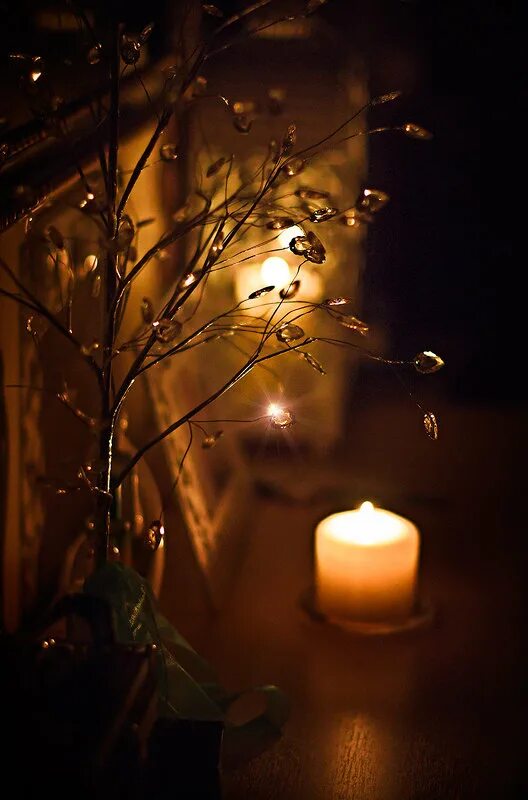 Свет кончится. Свет кончится. Осеннее расставание. Природа солнце. Луч света во тьме.