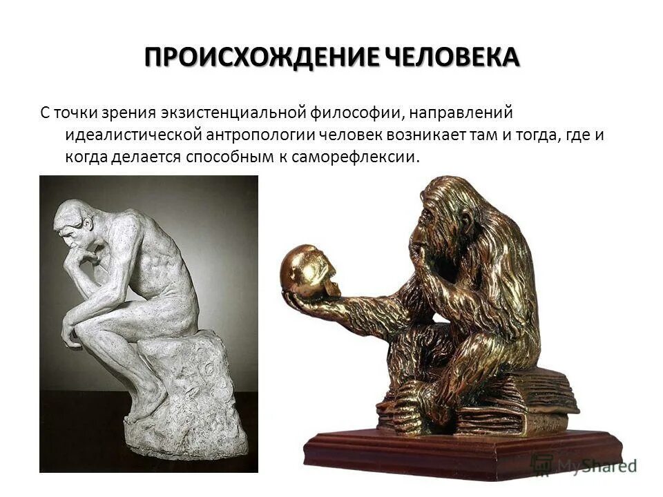 проблема происхождения человека в философии. основные теории антропогенеза. проблема происхождения человека. проблема происхождения человека. проблема происхождения человека.