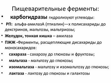 Пищеварительные ферменты что это