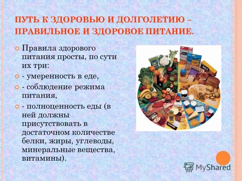 путь питания. схема процесса переваривания пищи в кишечнике. процесс переваривания пищи. схема прохождения пищи в организме человека. здоровое питание залог здоровья.