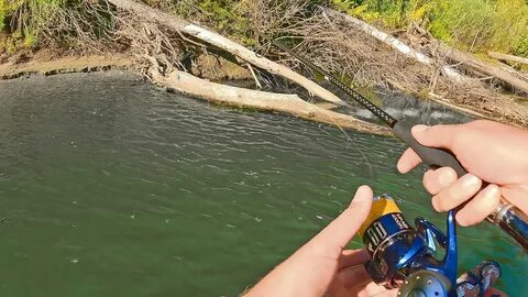 Щука осенью на спиннинг видео