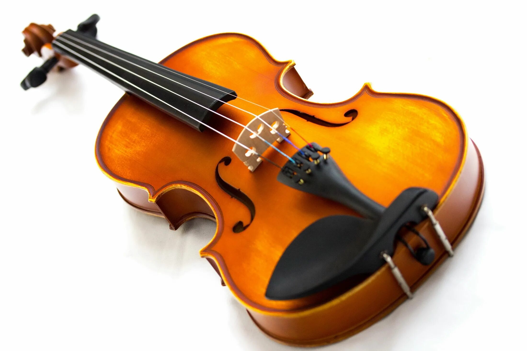 Violin hamster. Скрипка. Скрипка музыкальный инструмент. Струны на скрипке. Струнные скрипка.