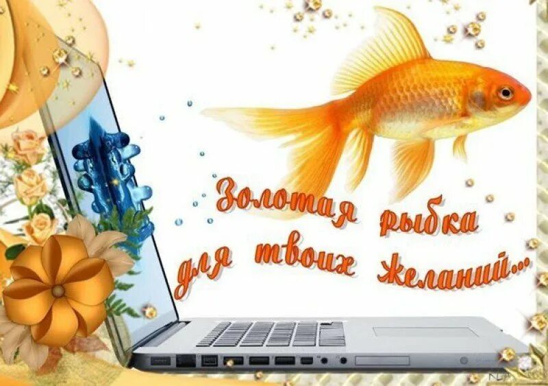Днем рождения исполнения. Открытка исполнения всех желаний. золотая рыбка открытка. исполнения желаний поздравление. с днём рождения золотая рыбка.