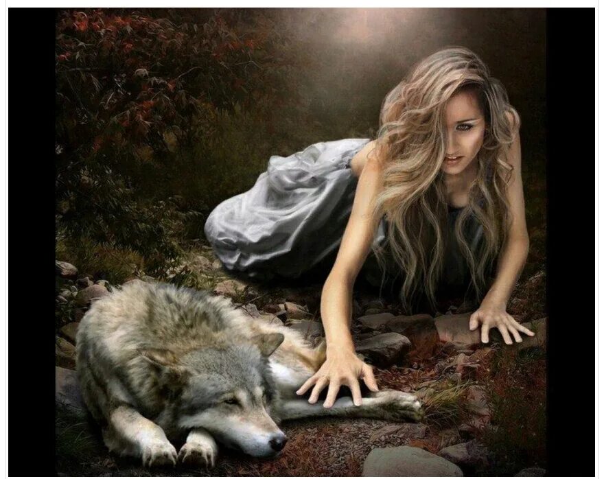 Одинокая волчица читать. Волчица и девушка. Девушка, розы и волк. Девушка в Красном и волчица. Волк тянется.