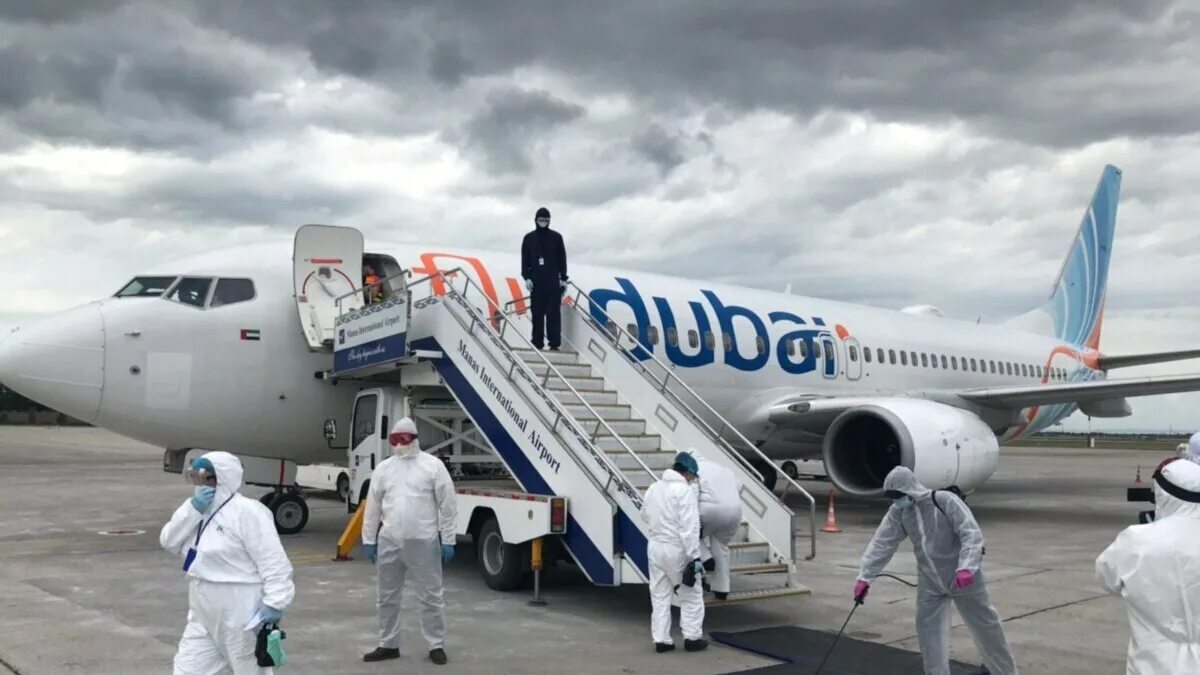 Отмена рейсов в оаэ сегодня