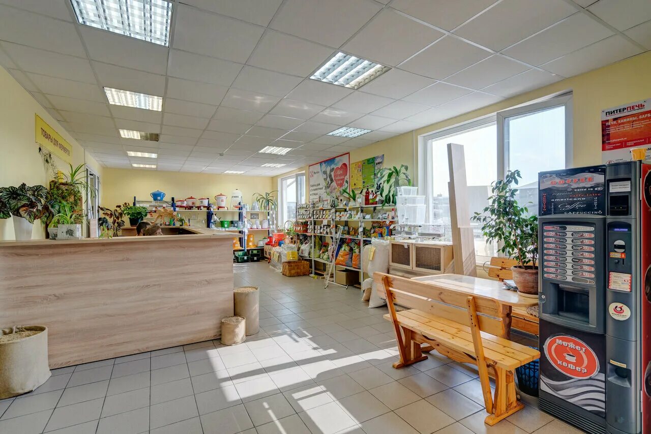 гос ветеринарная клиника парголово. ветклиника на парнасе федора абрамова. товары для животных парнас. товары для животных парнас. товары для животных парнас.