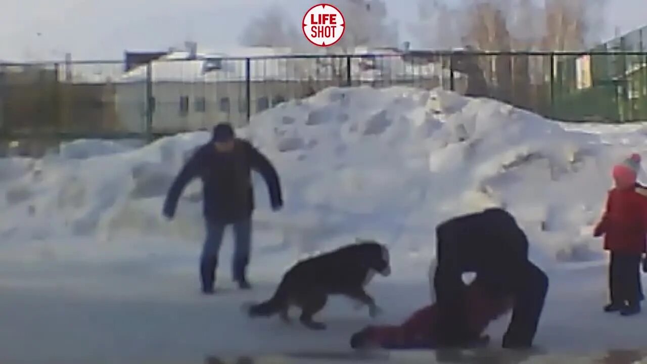 Спас от хулиганов