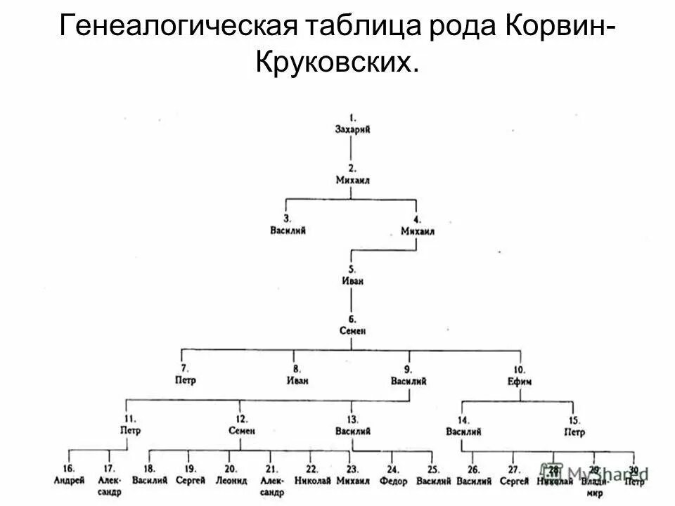 Горизонтальная генеалогическая таблица. Горизонтальная родословная таблица. Генеалогическое Древо таблица. Генеалогия таблица. Составьте генеалогическую таблицу первых романов